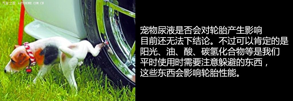 ֮