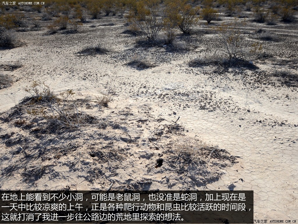 ֮