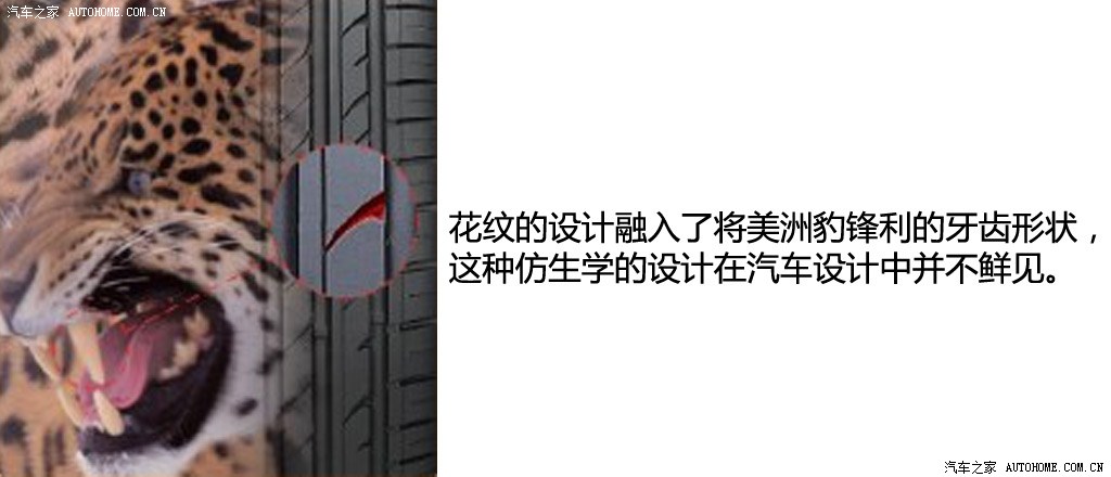 ֮