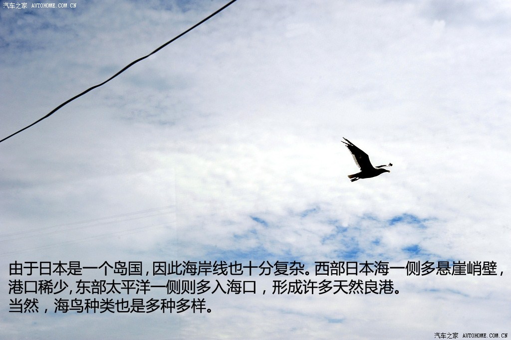 ֮