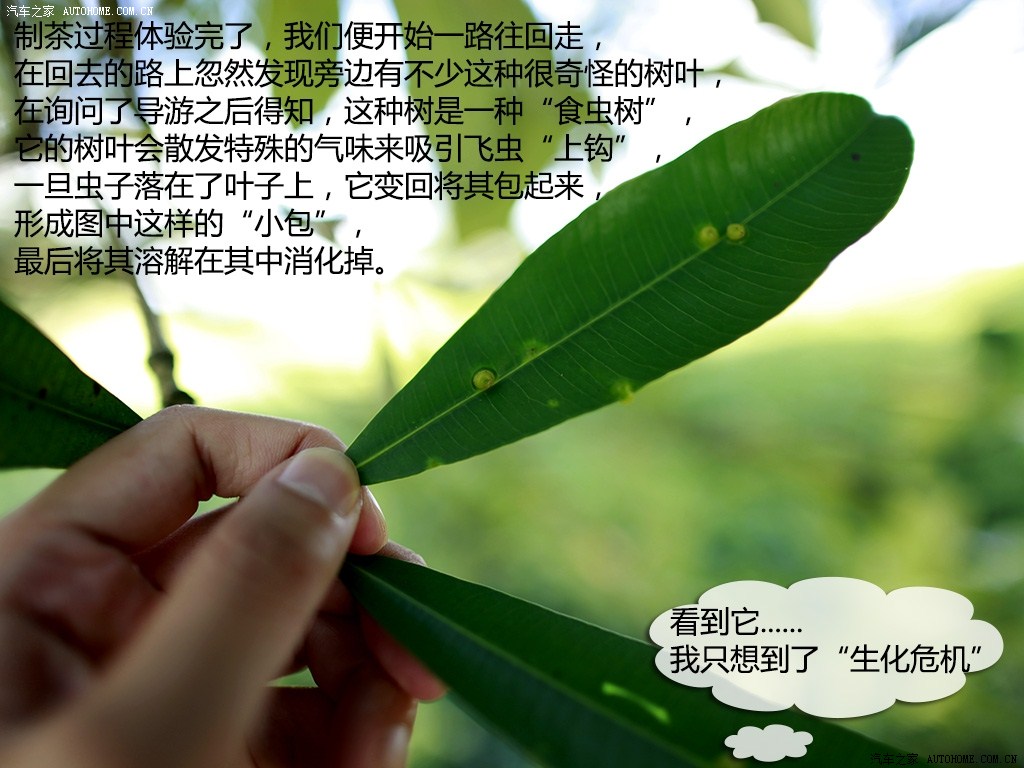 ֮