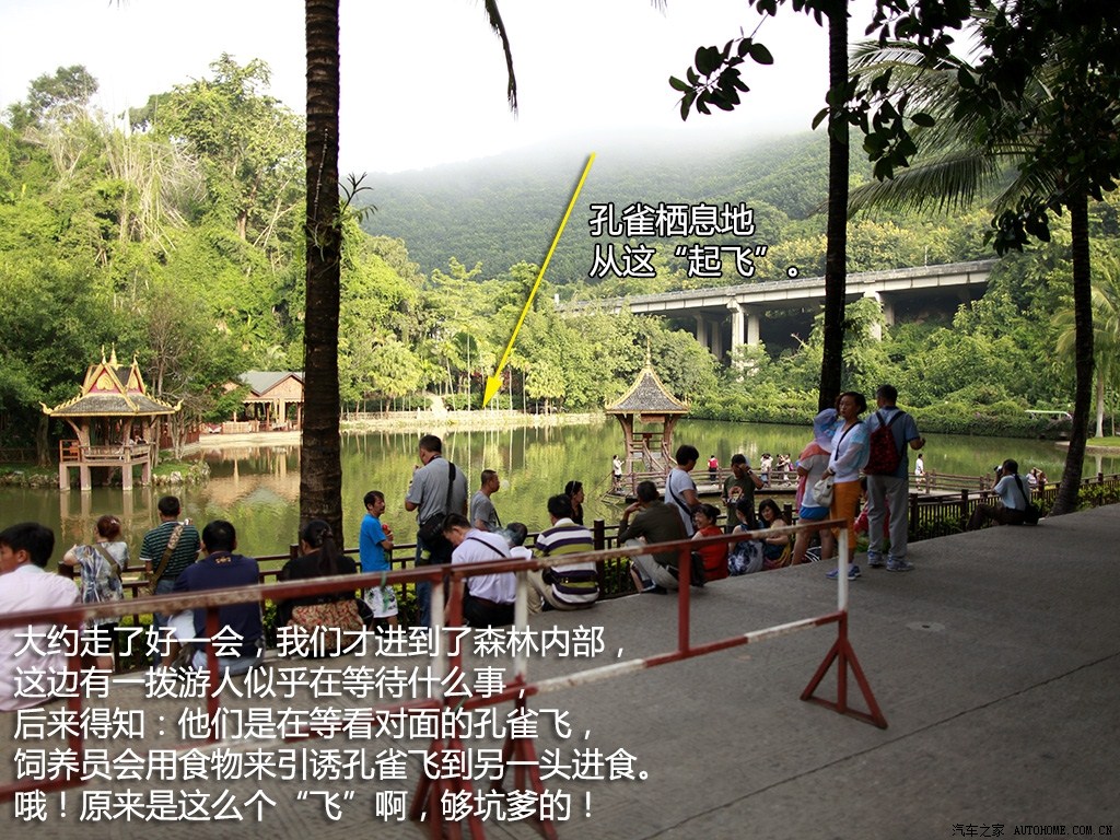 ֮