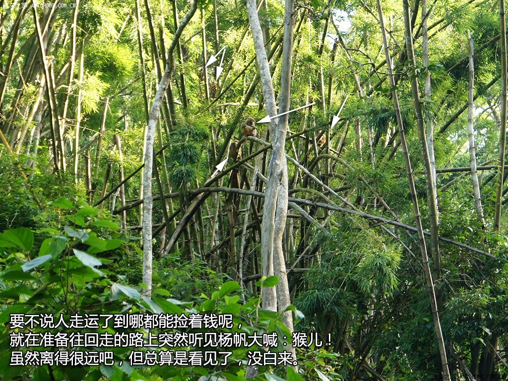 ֮