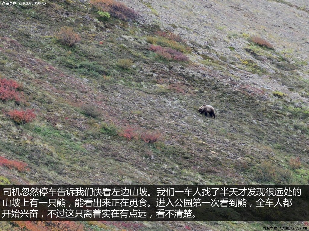 ֮