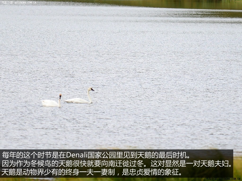 ֮