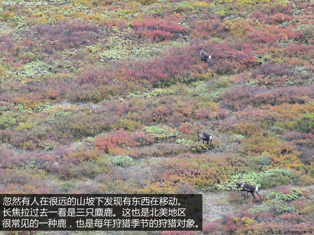 ֮