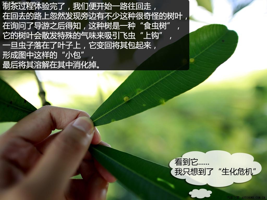 ֮
