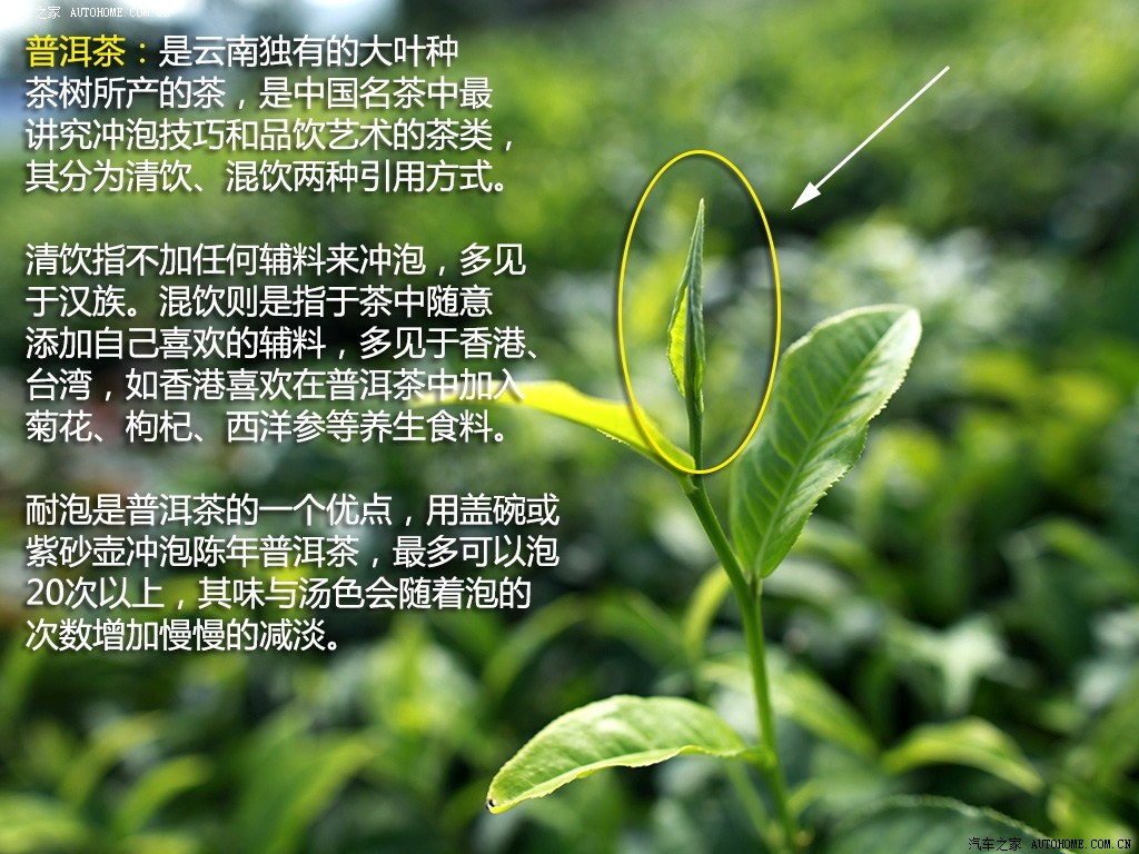 ֮