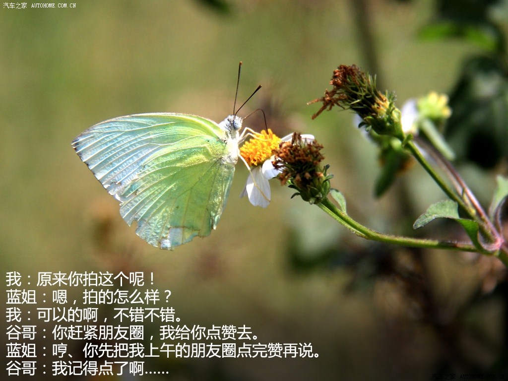 ֮