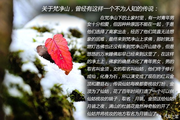 ֮