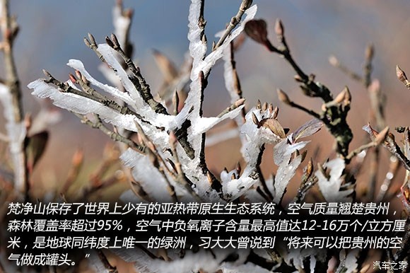 ֮