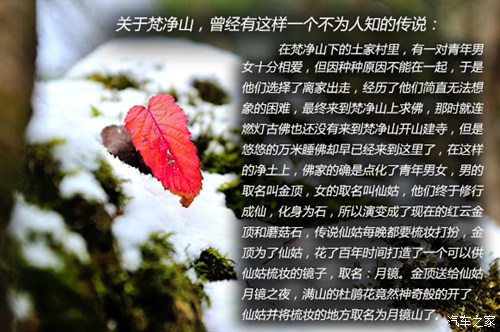 ֮