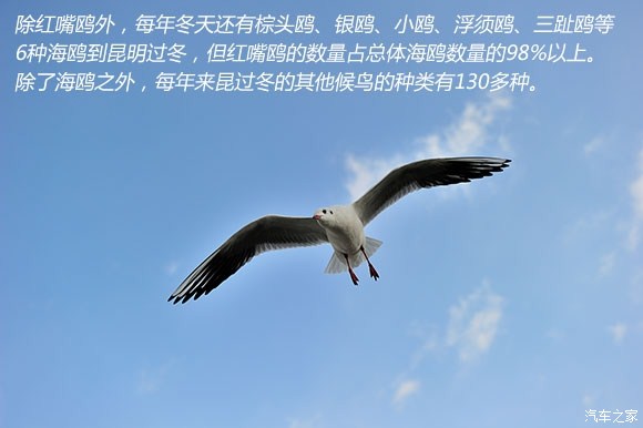 ֮