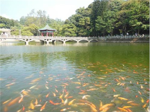 ֮