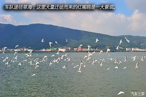 ֮