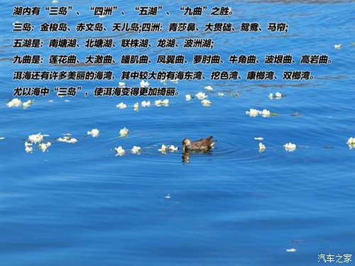֮