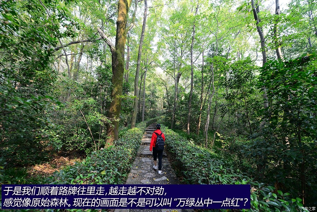 ֮