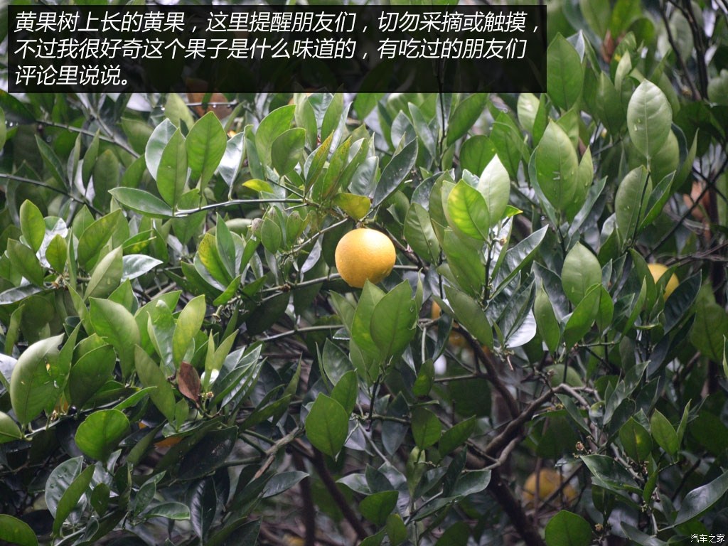 ֮