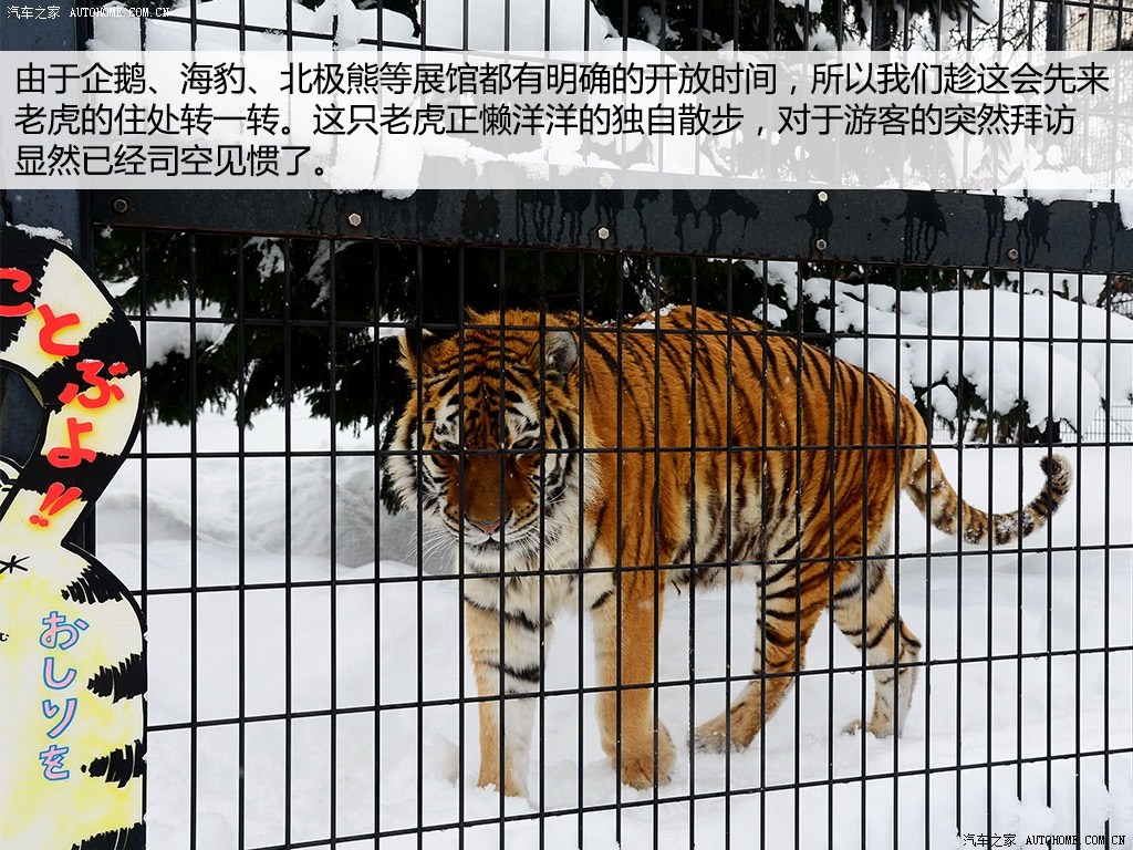֮