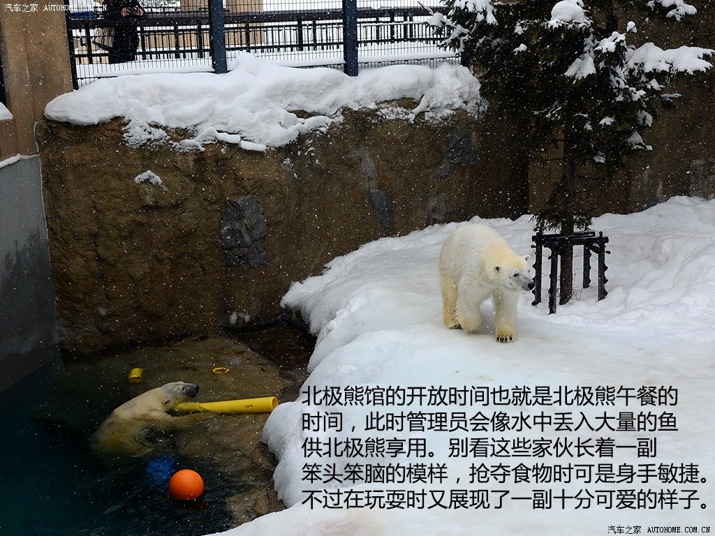 ֮