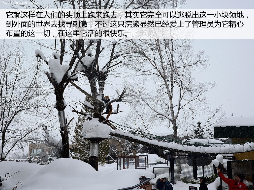 ֮