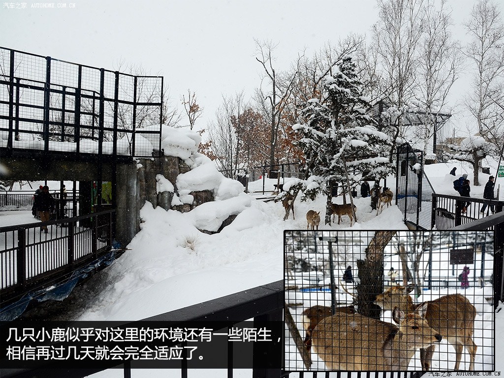 ֮