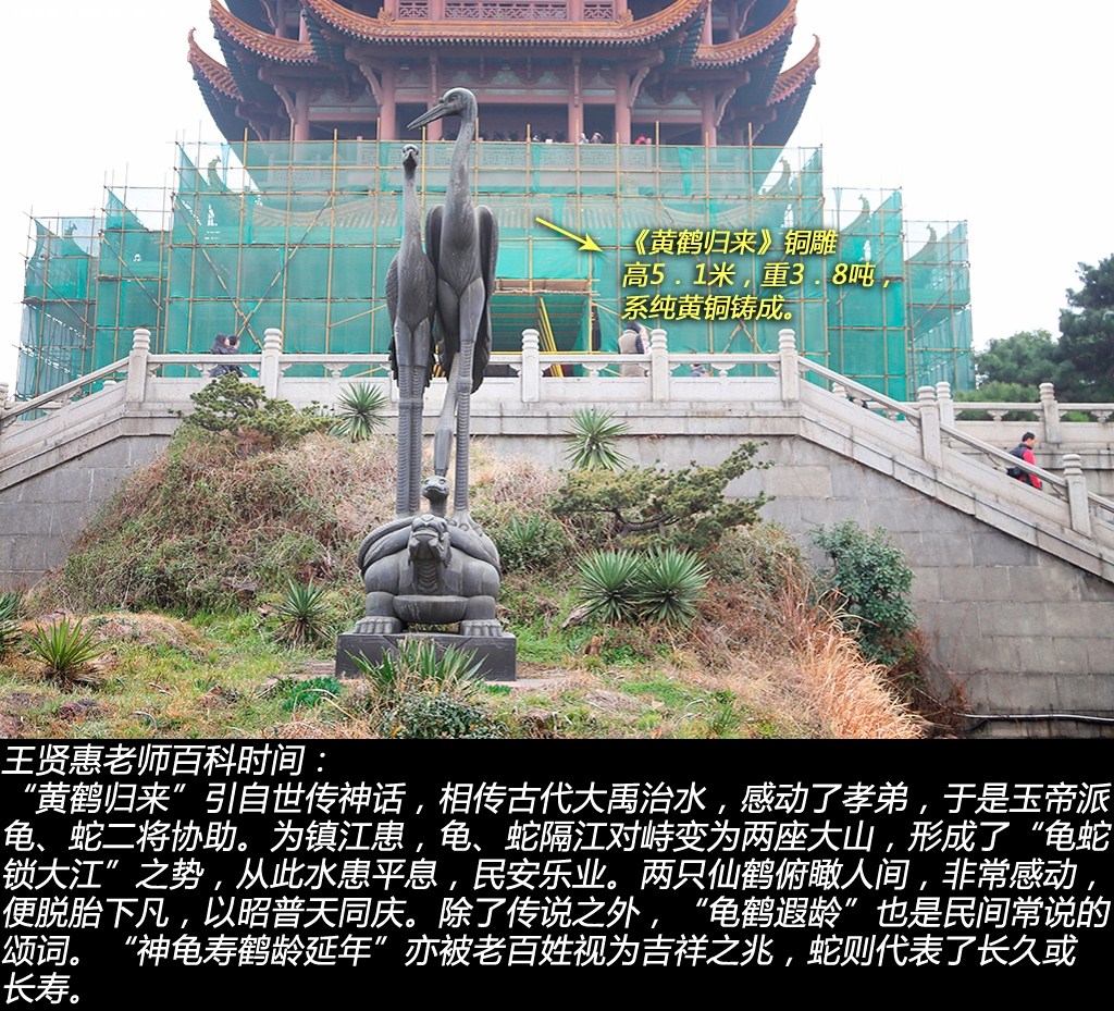 ֮