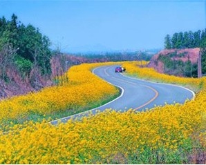 ֮