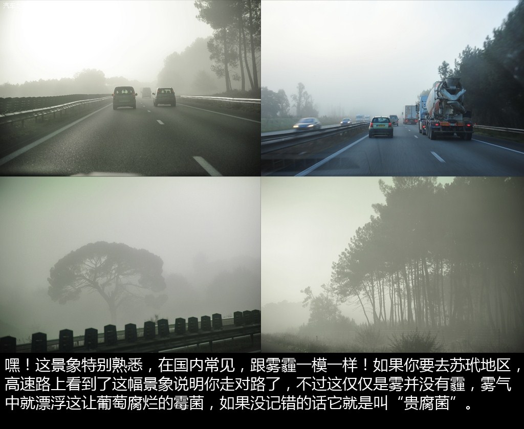 ֮