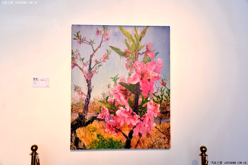 ����֮��