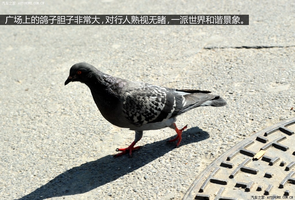 ֮