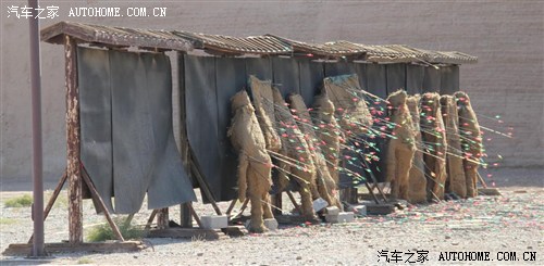֮