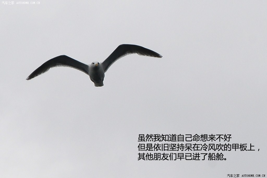 ֮