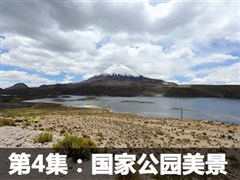 2013��������μǣ�20�촩Խ����/��³