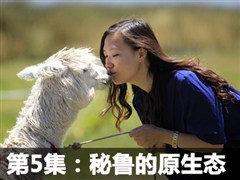 2013��������μǣ�20�촩Խ����/��³