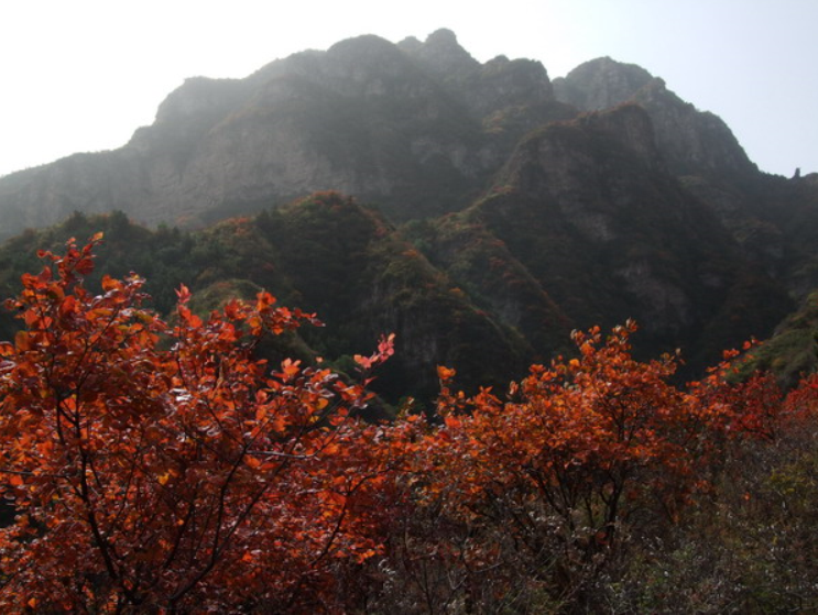 ֮