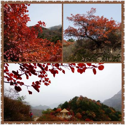 ֮