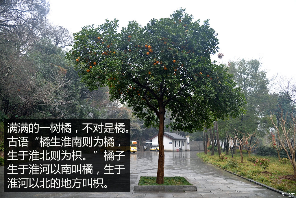 ֮