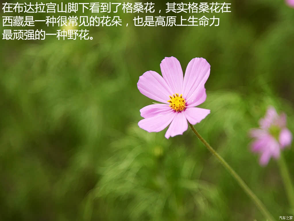 ֮